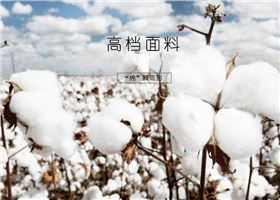益达休闲T恤使用的面料