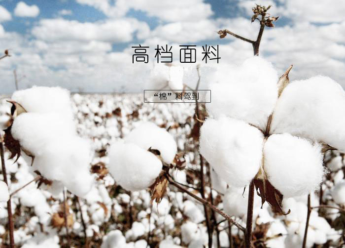 益达品牌短袖T恤使用的面料