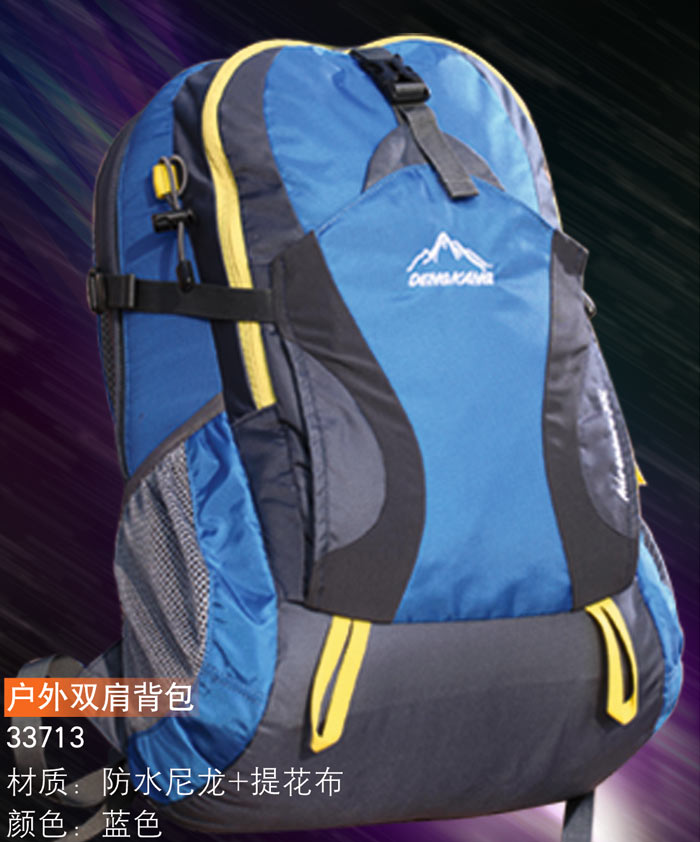 益达登山双肩包33713
